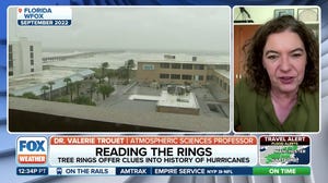 How tree rings hold clues to hurricanes