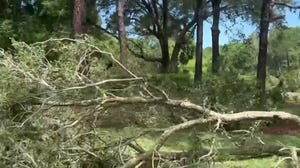 Video: Tornado damage in Florida Panhandle