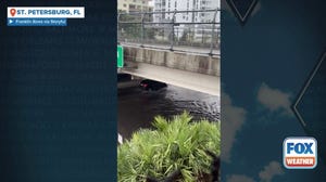 Heavy rain brings flooding to St. Petersburg, FL