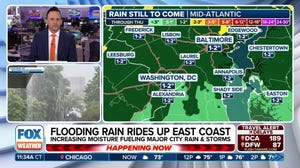 Heavy rain riding up East Coast with cities like Washington at risk of flooding