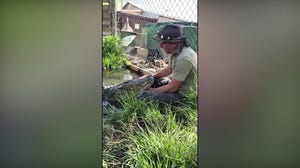 Famous Hollywood gator dies at more than 80 years old at Colorado sanctuary
