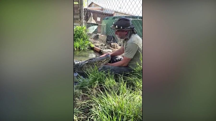 Famous Hollywood gator dies at more than 80 years old at Colorado sanctuary
