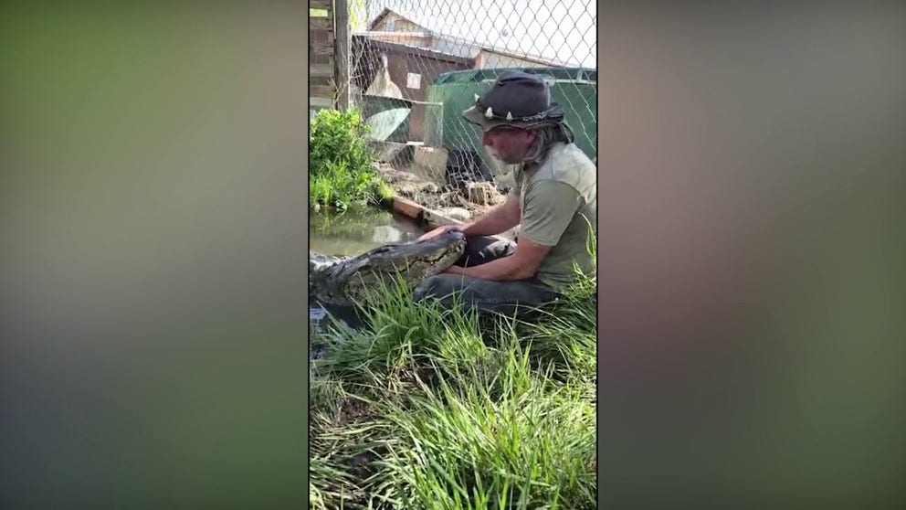 A beloved gator known for his work in popular feature films, such as "Happy Gilmore," has passed away at Colorado Gator Farm in southern Colorado.