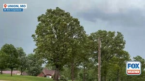 Watch: Strong winds whip trees in eastern Missouri