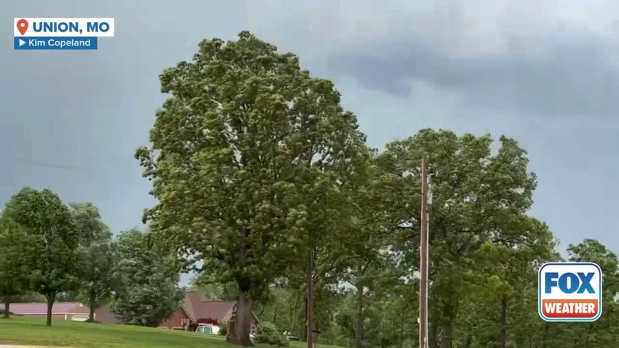 Watch: Strong winds whip trees in eastern Missouri