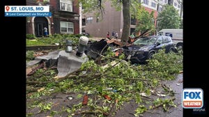 Powerful winds send trees, debris down St. Louis street