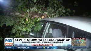 Severe storms slam Georgia communities overnight