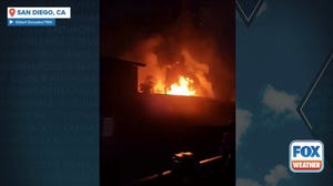 Neighbors rescue animals from blaze after fatal plane crash in San Diego neighborhood 