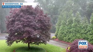 Heavy rain falls across Georgia Tuesday