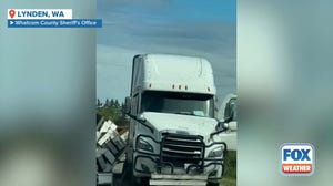 250 million bees unleashed upon northern Washington after truck overturns