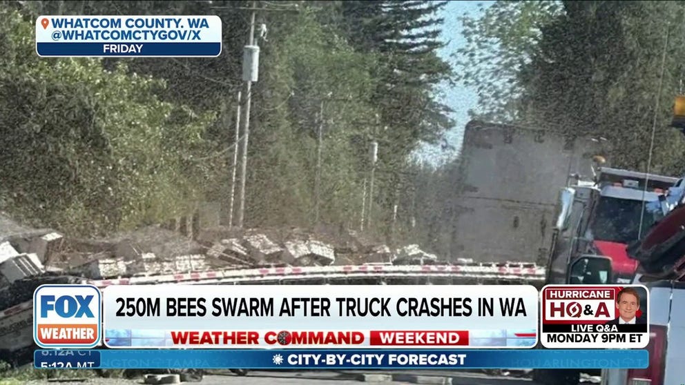 A truck hauling 70,000 pounds of bee hives overturned near the Canadian border Friday morning, eventually unleashing around 250 million bees, officials said. 