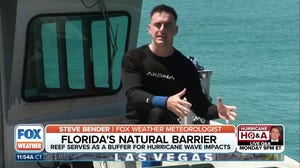 NOAA scientists restore coral reefs to strengthen natural hurricane defenses