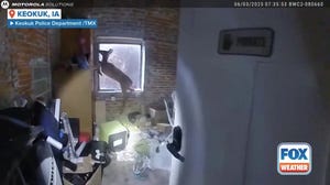 Watch: Deer attempts escape after crashing through Iowa hair salon window