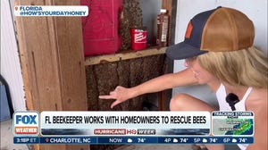 Some want them gone, while others turn efforts into a rescue mission