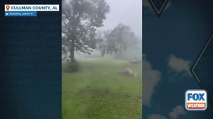 Watch: Severe weather rolls through Cullman County, Alabama