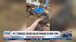 New York resident rescues kittens trapped after EF-1 tornado