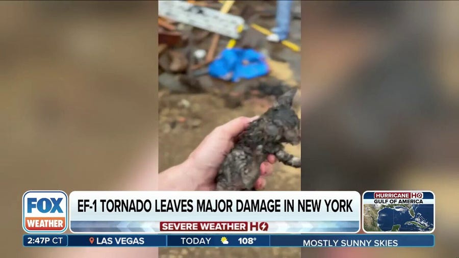 New York resident rescues kittens trapped after EF-1 tornado