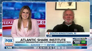 Water temperatures and hurricanes have impact on shark migration in the Atlantic