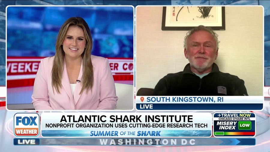 Water temperatures and hurricanes have impact on shark migration in the Atlantic