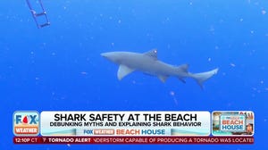 FOX Weather Beach House: Shark safety tips for beachgoers