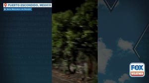 WATCH: Hurricane Erick’s winds lash Puerto Escondido, Mexico