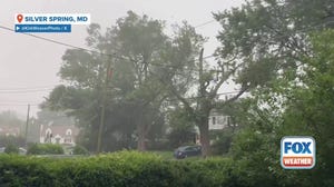 Tree limb falls on power lines as thunderstorms strike DC area