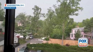 Watch: Tree collapses during thunderstorms in Washington, D.C. 