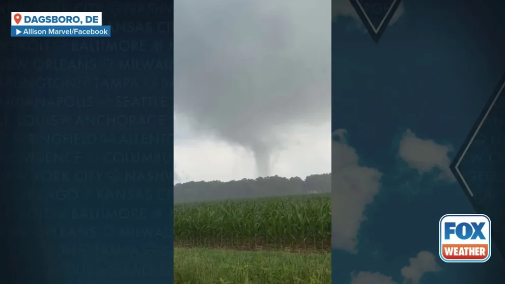 Video from Dagsboro on Monday shows a tornado forming behind a tree link during thunderstorms. The last time a tornado happened in Delaware in June was 2017.