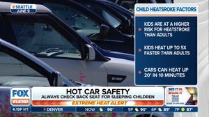 Hot car safety tips amid wave of hot car deaths