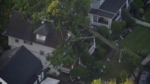 Aerial video shows tree on home in Plainfield. New Jersey