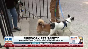 Keeping your pets safe during Fourth of July fireworks