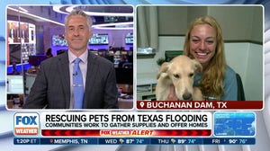 Hill Country Humane Society rushes to rescue displaced pets following Texas floods