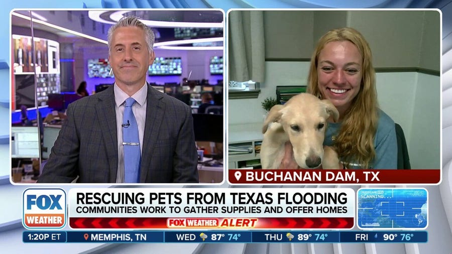 Hill Country Humane Society rushes to rescue displaced pets following Texas floods