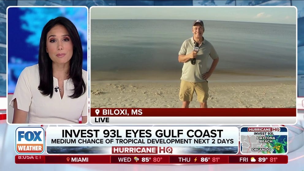 The National Hurricane Center is now highlighting a large area to watch near Florida and along the northern Gulf Coast. To help them nail down the forecast, they have designated the system as Invest 93L. 