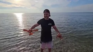 Rare orange lobsters released back into ocean