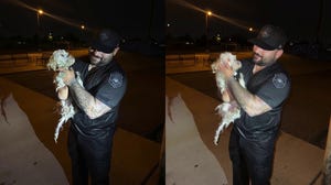 Police officer leaps into action to save a small dog stuck in a canal