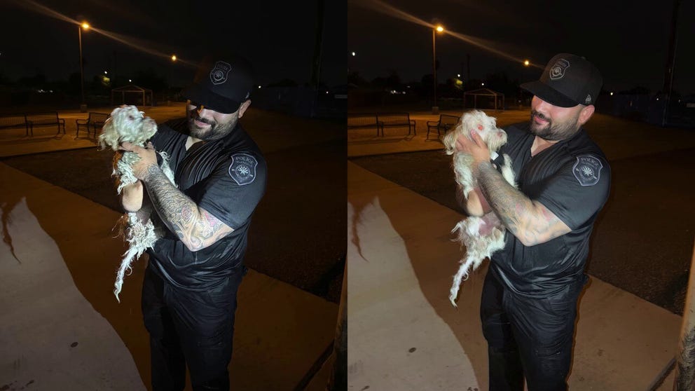 Glendale Police Officers successfully rescue a dog who was stuck in a canal in Glendale, Arizona.