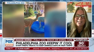 Philadelphia Zoo is prepared to keep its animals cool amid heat dome