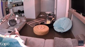 Small dog fights to stay alive as floodwaters fill up a Chicago home