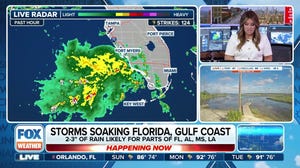 Storms, heavy rain lead to flooding in Florida