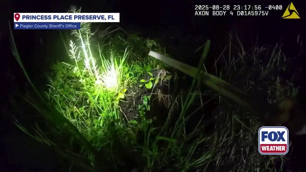 A man was saved on Thursday night after he became lost in a salt marsh along the northeast Florida coast.