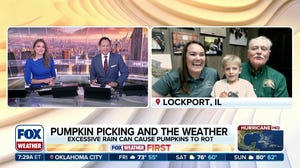 Family farmers share fall pumpkin outlook for this year