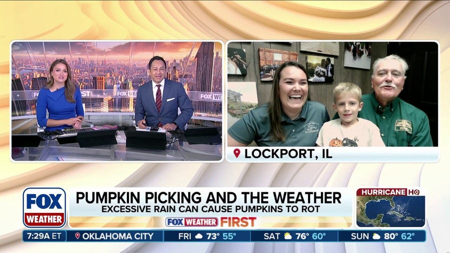 Family farmers share fall pumpkin outlook for this year