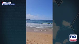 Watch: Emergency crews respond to fatal shark attack in Sydney