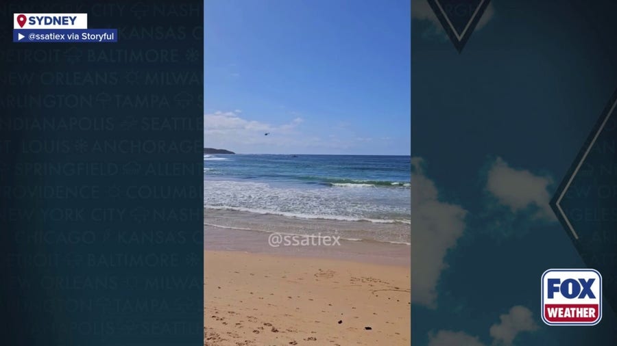 Watch: Emergency crews respond to fatal shark attack in Sydney