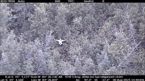 California woman rescued in Michigan after failed YouTube survival challenge