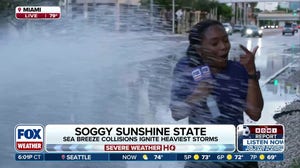 FOX Weather's Brandy Campbell soaked by passing car during Miami flooding