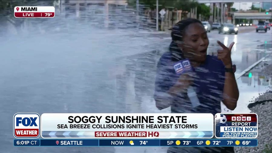 FOX Weather's Brandy Campbell soaked by passing car during Miami flooding