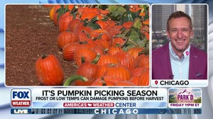 Pumpkin spice helps drive other fall-themed purchases each year