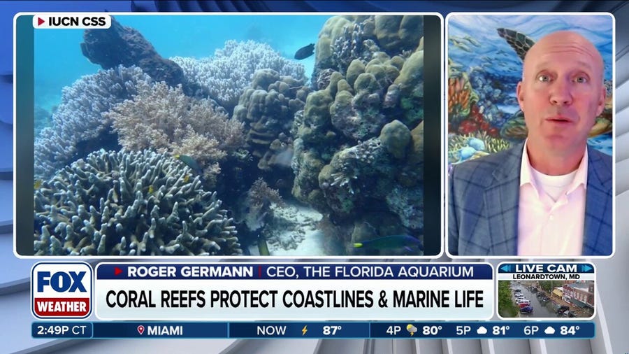 The world’s first global center for species survival dedicated exclusively to coral